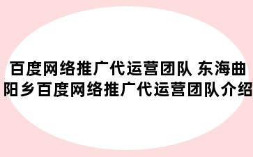 百度网络推广代运营团队 东海曲阳乡百度网络推广代运营团队介绍